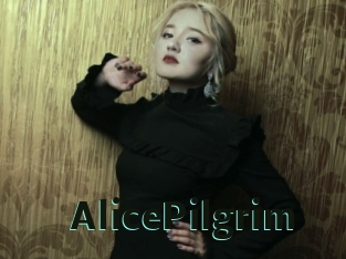 AlicePilgrim Sextrans