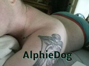 Alphie_Dog