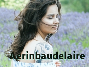 Aerinbaudelaire