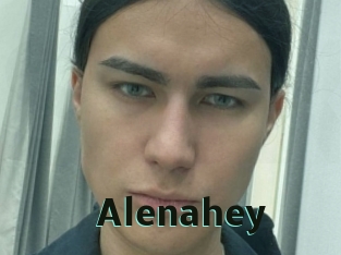 alenahey Sextrans