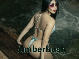 Amberbush