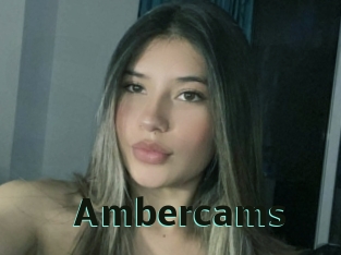 Ambercams