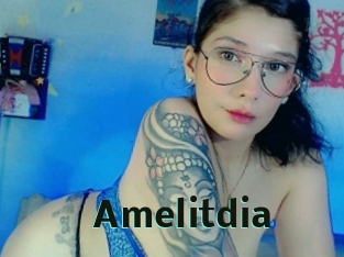 amelitdia Sextrans