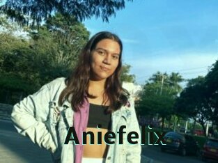 Aniefelix