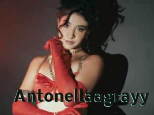 Antonellaagrayy