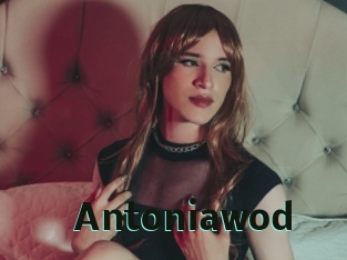 Antoniawod