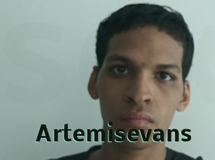 Artemisevans