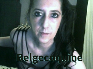 Belgecoquine