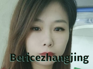 Bericezhangjing