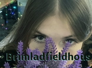 brimladfieldhous Sextrans