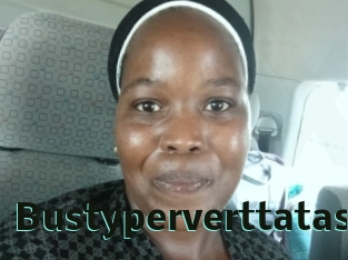 Bustyperverttatas