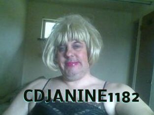 CDJANINE1182