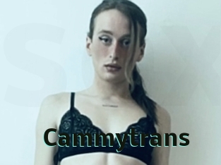 Cammytrans