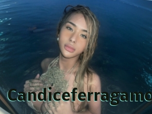 Candiceferragamo