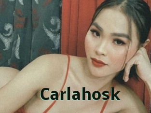 carlahosk Sextrans