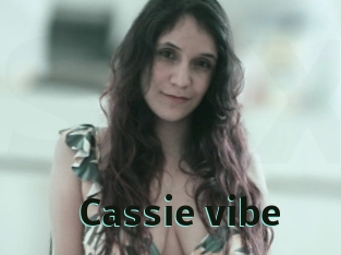 cassie_vibe Sextrans