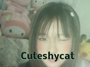 Cuteshycat