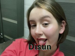 disun Sextrans