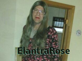 Elantra_Rose