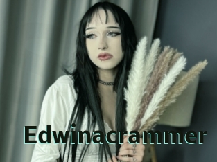 edwinacrammer Sextrans