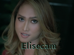 Elisecam