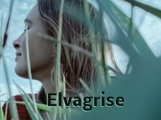 Elvagrise