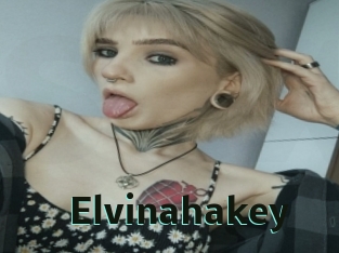 Elvinahakey