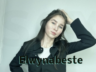 elwynabeste Sextrans
