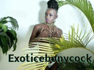 Exoticebonycock