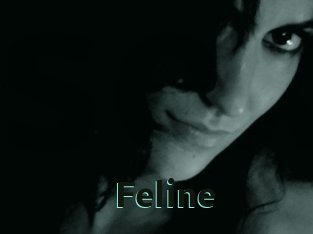 Feline