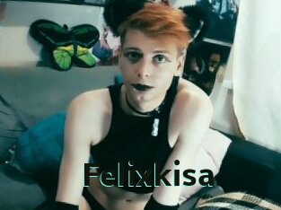 Felixkisa