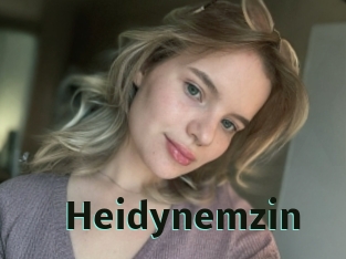 Heidynemzin