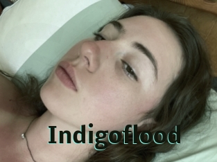 Indigoflood