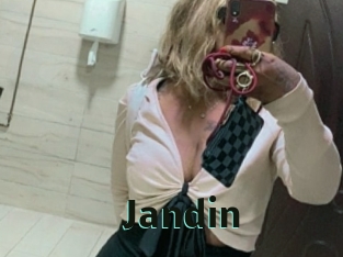 jandin Sextrans