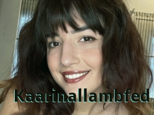 kaarinallambfed Sextrans