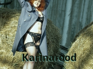 karinarood Sextrans