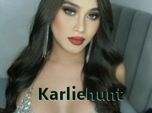 karliehunt Sextrans
