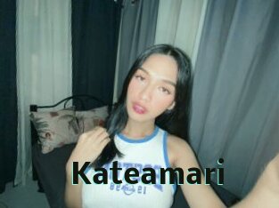 Kateamari