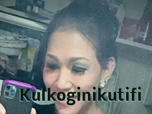 Kulkoginikutifi