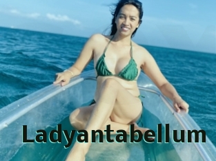 ladyantabellum Sextrans