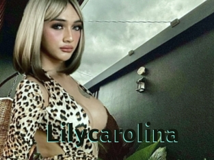 lilycarolina Sextrans