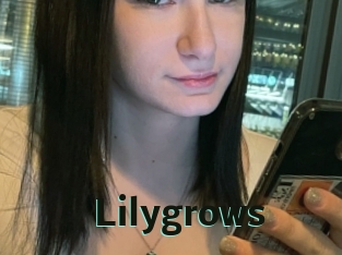 Lilygrows