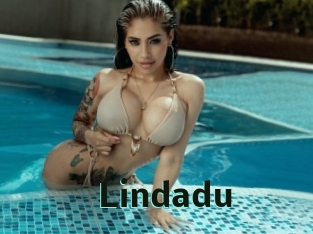 lindadu Sextrans