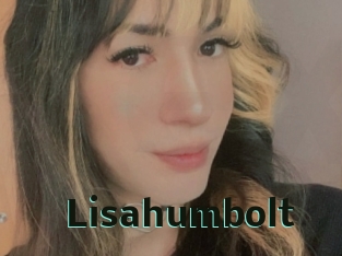 Lisahumbolt