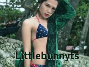 Littlebunnyts