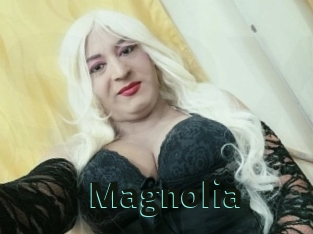 Magnolia