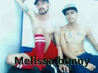 Melissa_bunny
