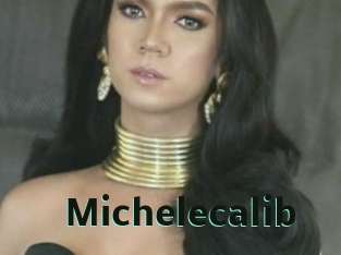 Michelecalib