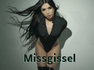 Missgissel