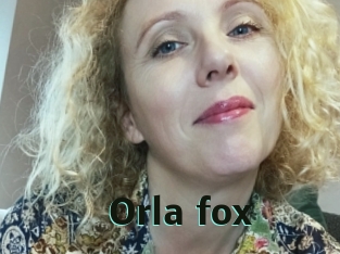 Orla_fox